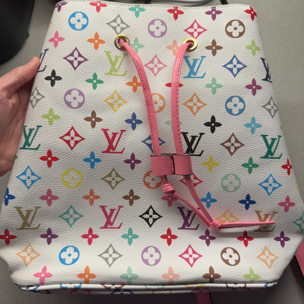 Multicolor Women's Bag